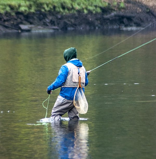 apersinger-fly-fishing-5324969_1280 1